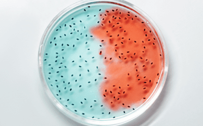 3 Weird Bacteria Facts