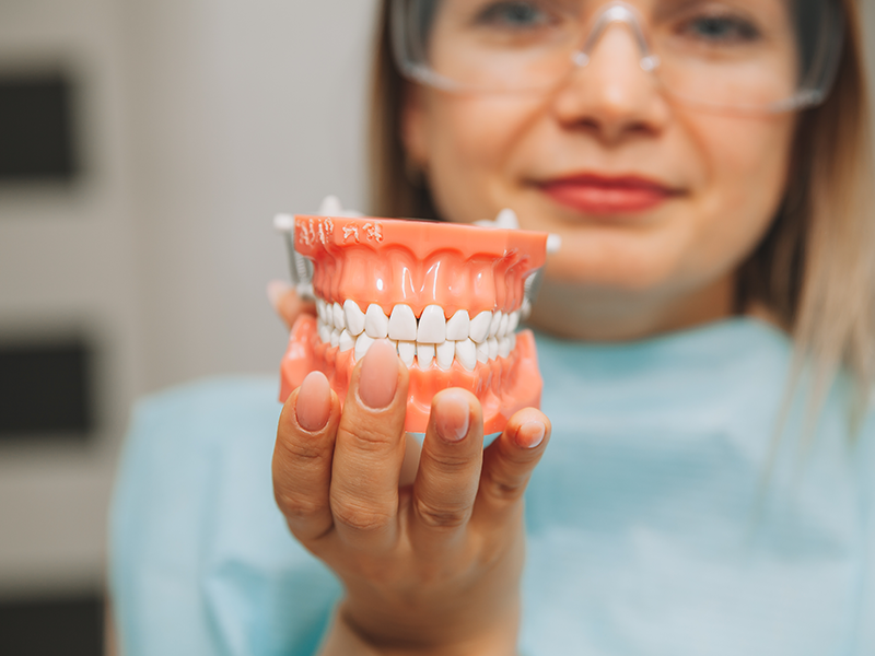 dental services, Dentures, image of a Woman holding a tooth sample or denture at the dentist.